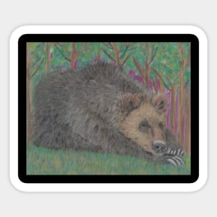 Brown bear Sticker